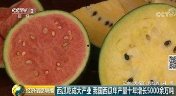 吃瓜群众西瓜玩偶,吃瓜群众西瓜玩偶萌动来袭