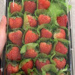 怎么挑红芭蕾草莓网