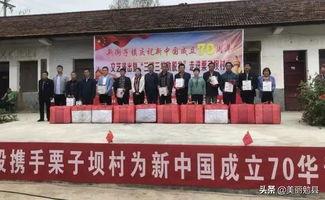 勉县头条新闻,聚焦民生，共筑美好家园